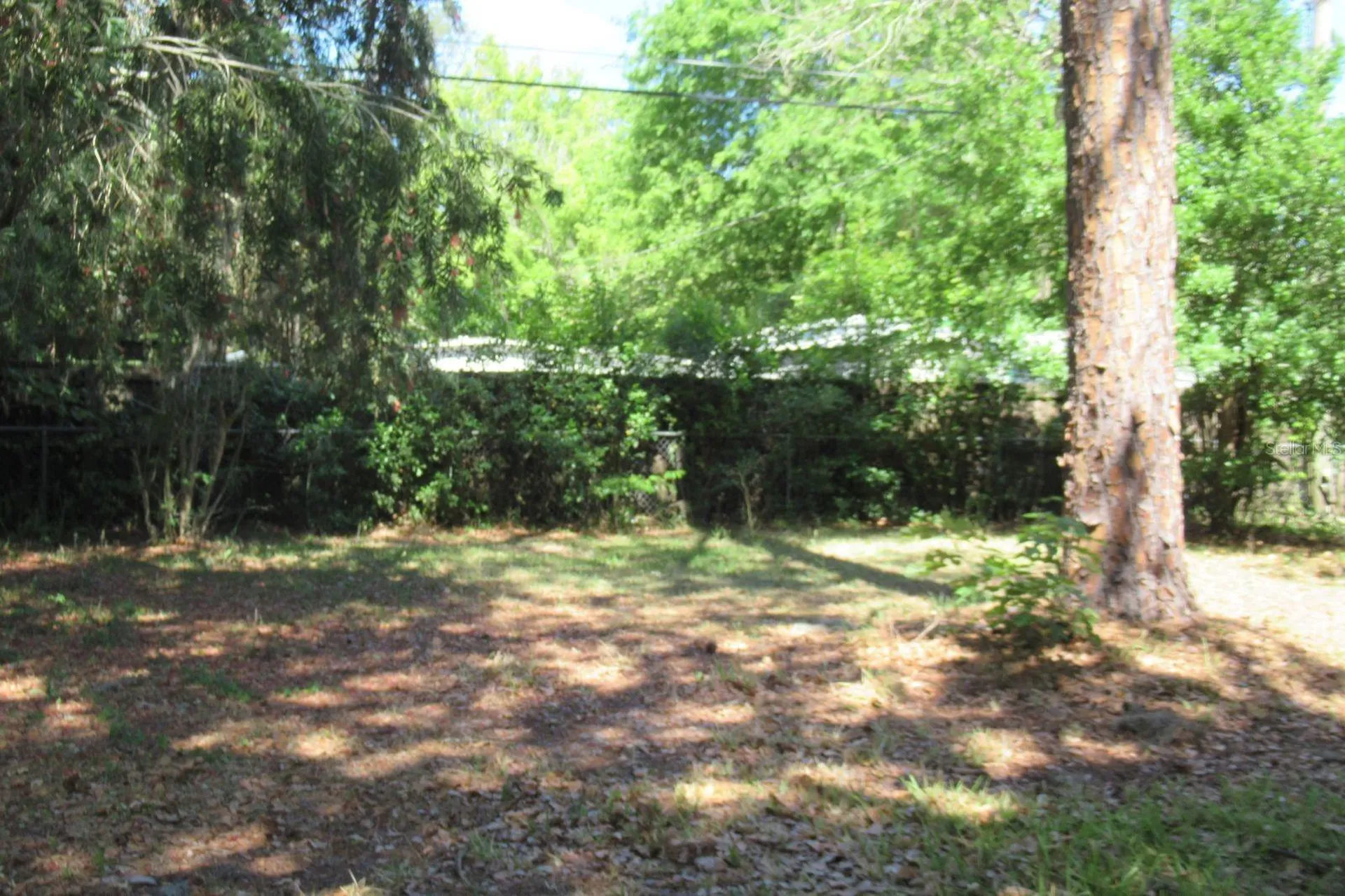 3004 NE 10th Drive Gainesville FL 32609