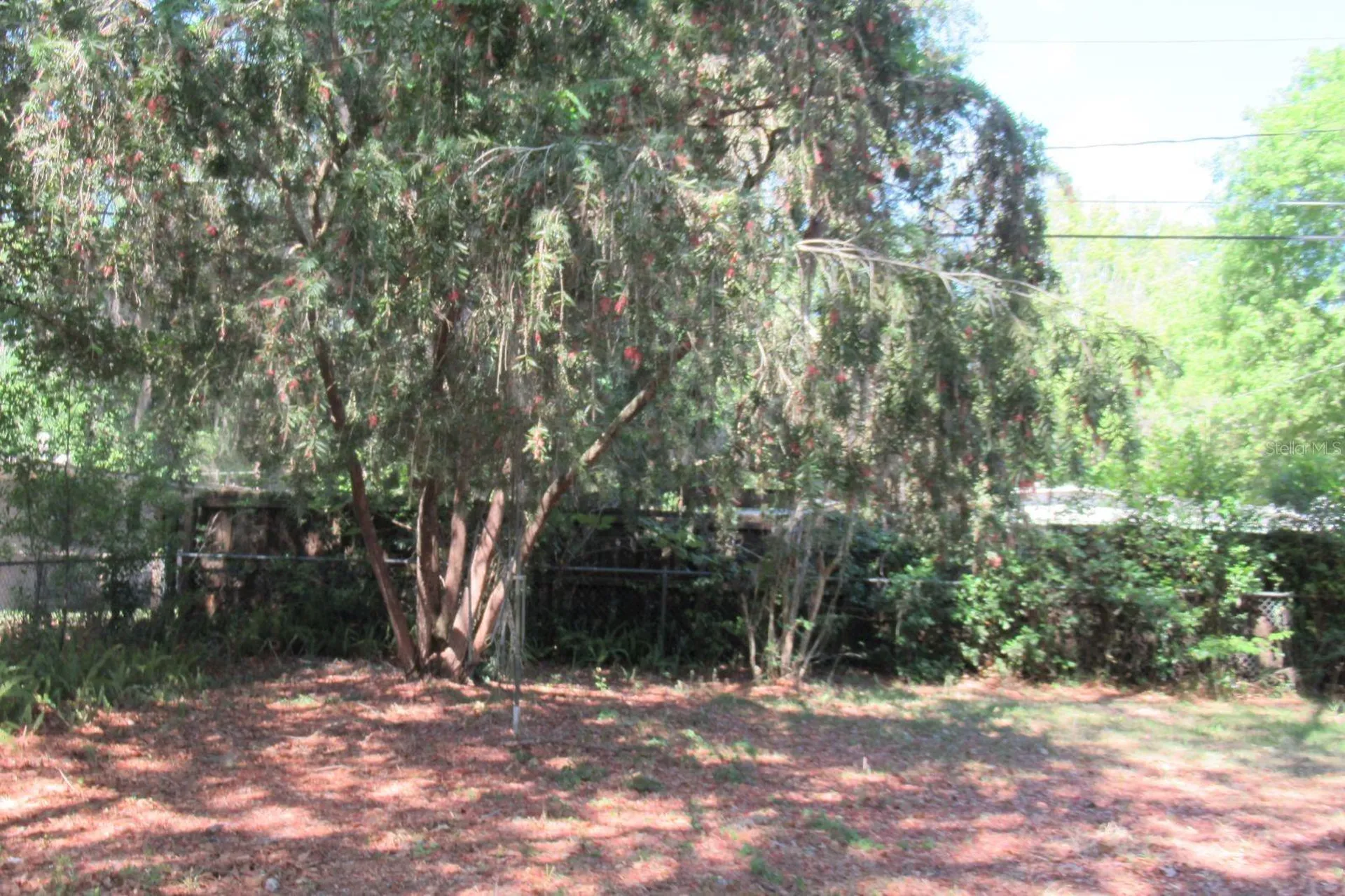 3004 NE 10th Drive Gainesville FL 32609