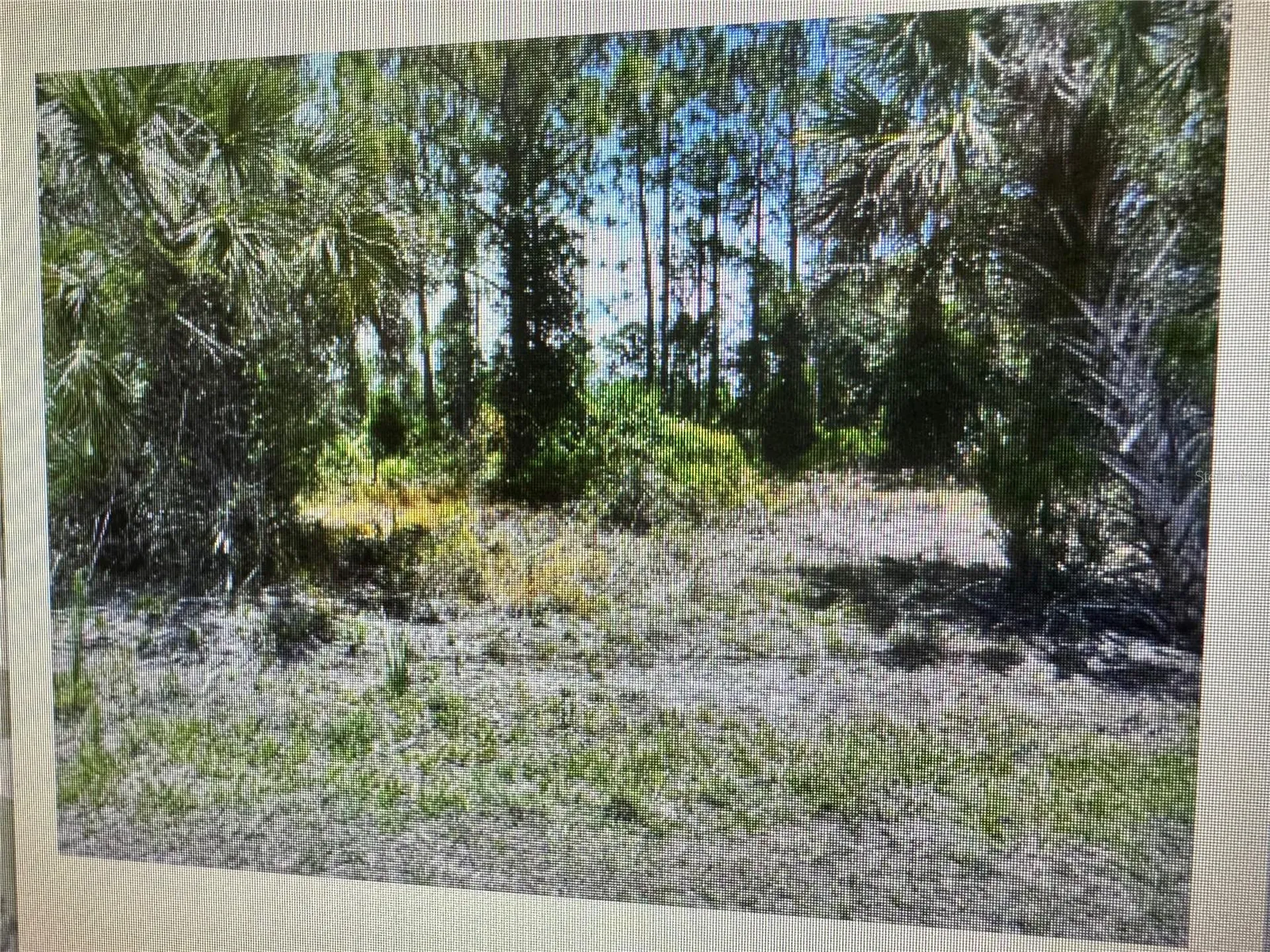 Sago Palm Road North Port FL 34291