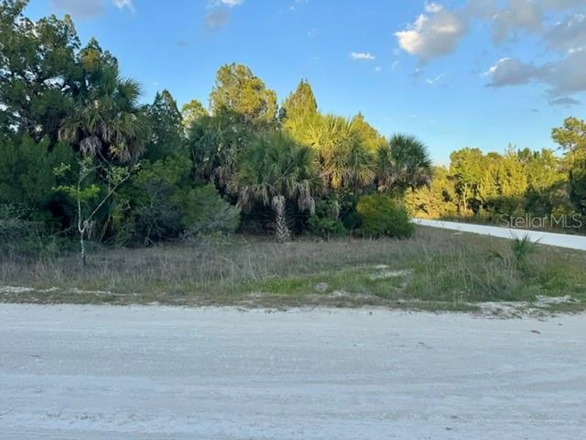 Rapidan Road Weeki Wachee FL 34614