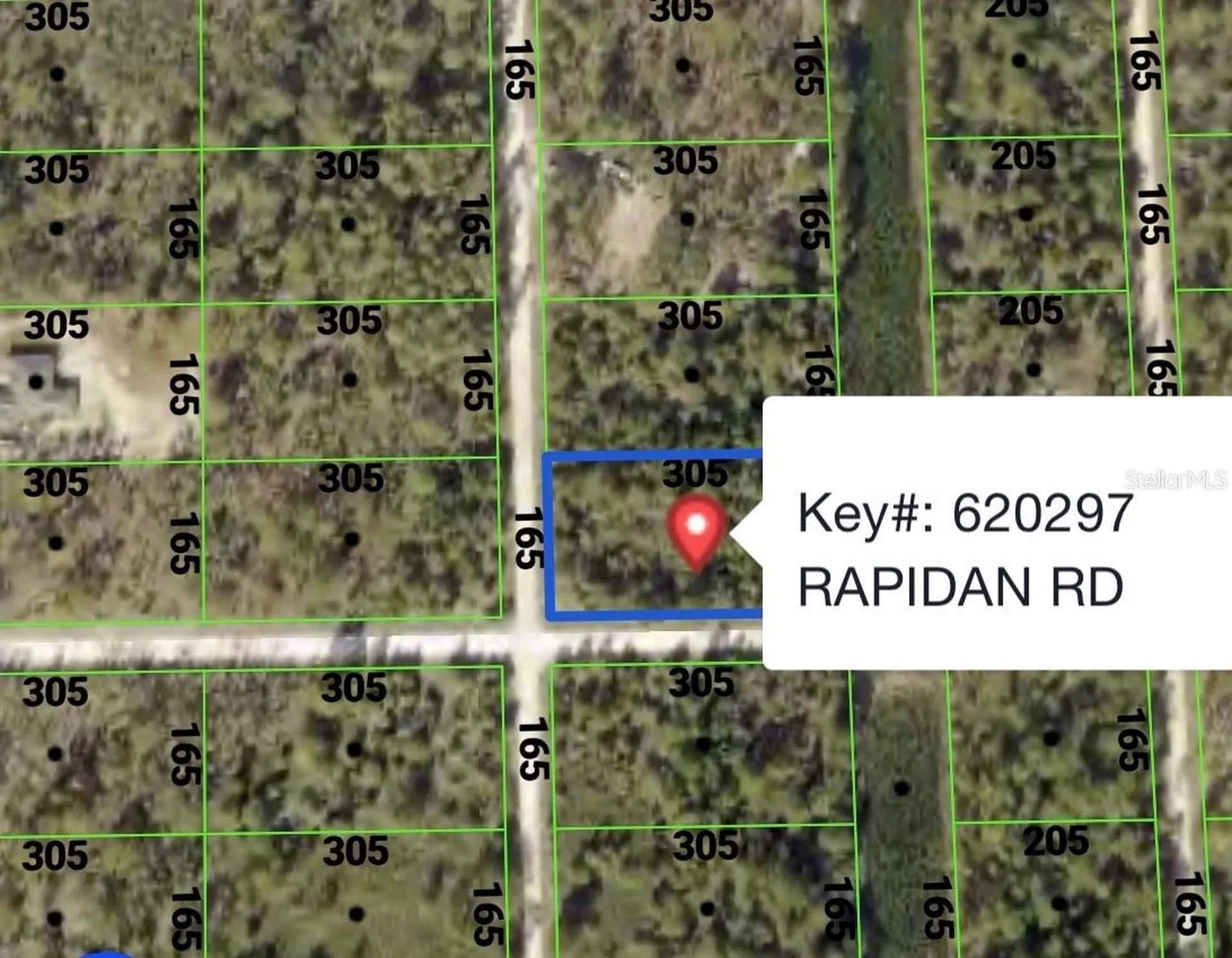 Rapidan Road Weeki Wachee FL 34614
