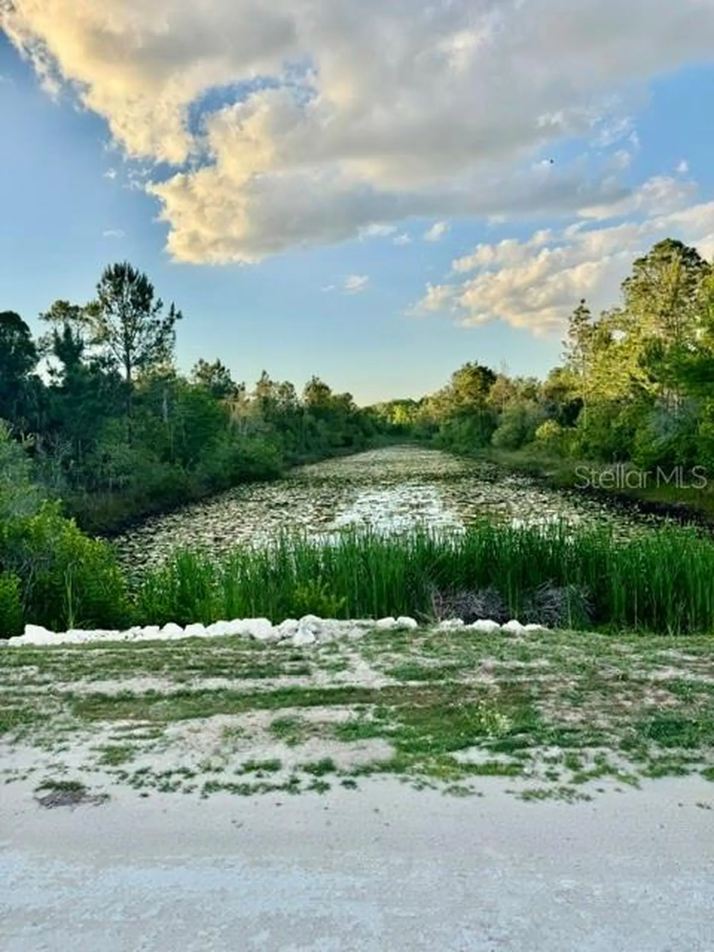 Rapidan Road Weeki Wachee FL 34614