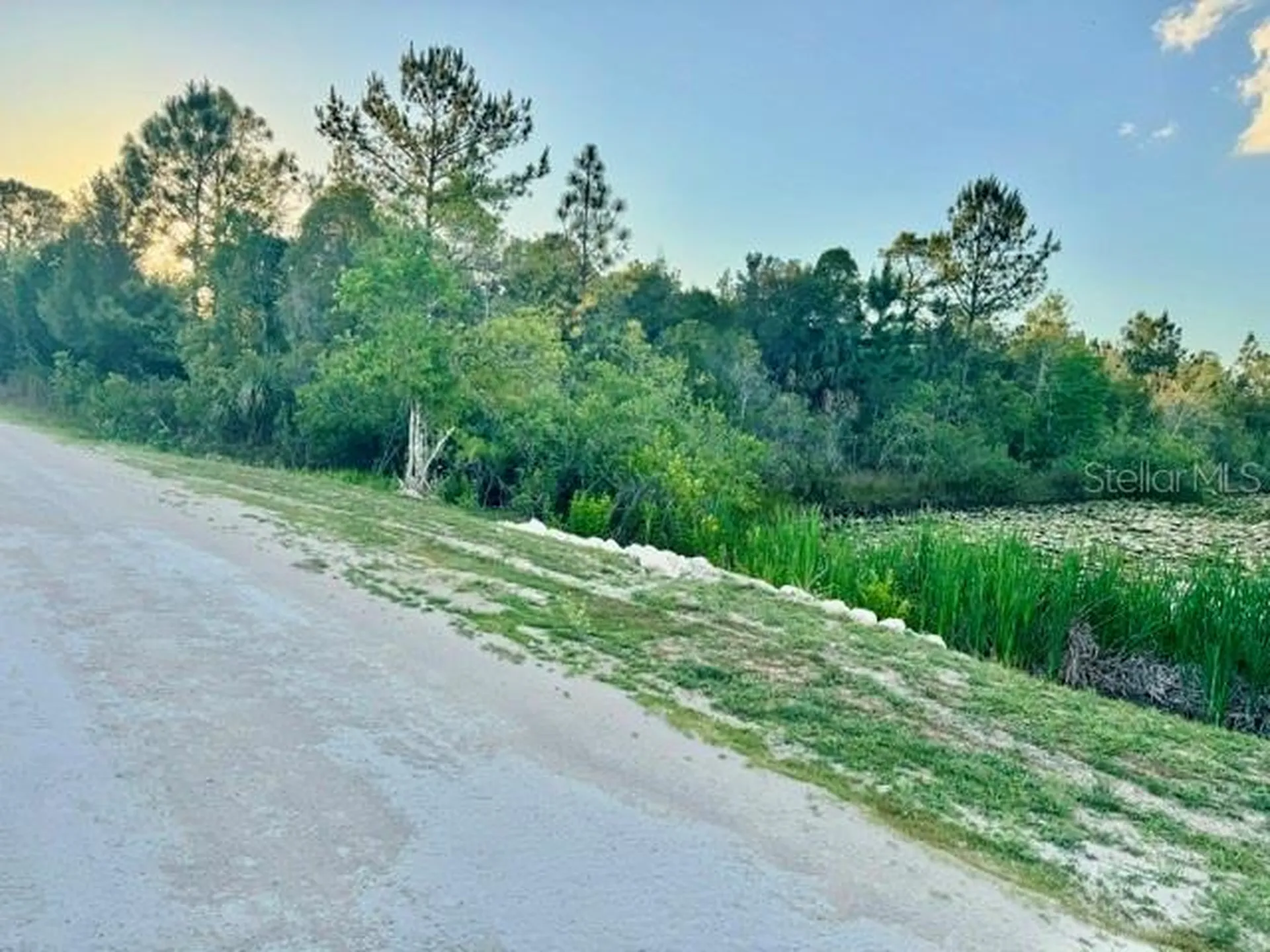 Rapidan Road Weeki Wachee FL 34614