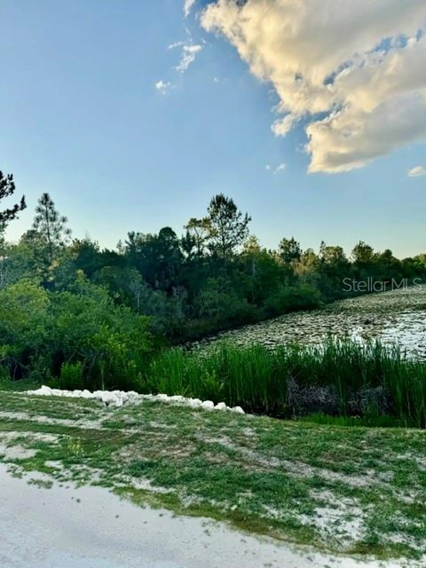 Rapidan Road Weeki Wachee FL 34614