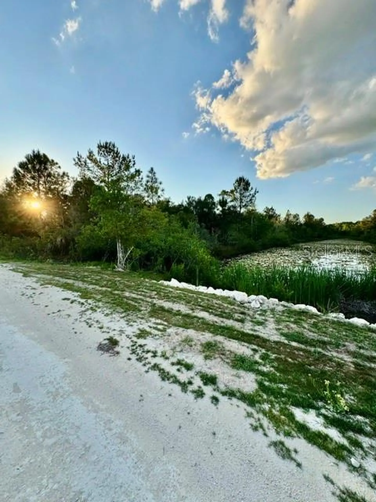 Rapidan Road Weeki Wachee FL 34614