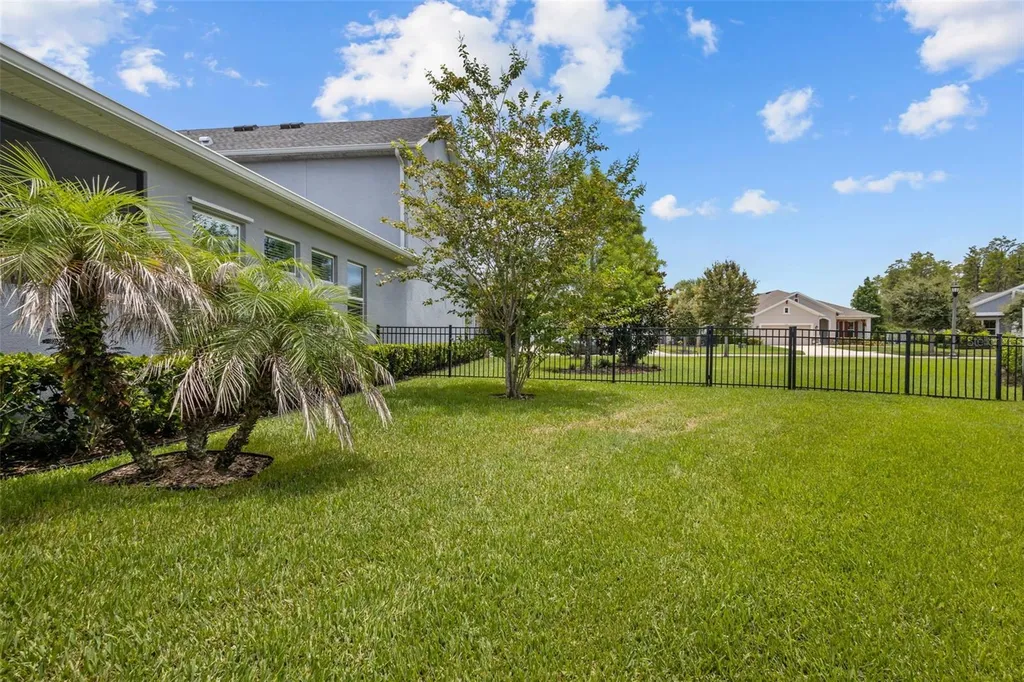 3164 Satilla Loop Odessa FL 33556