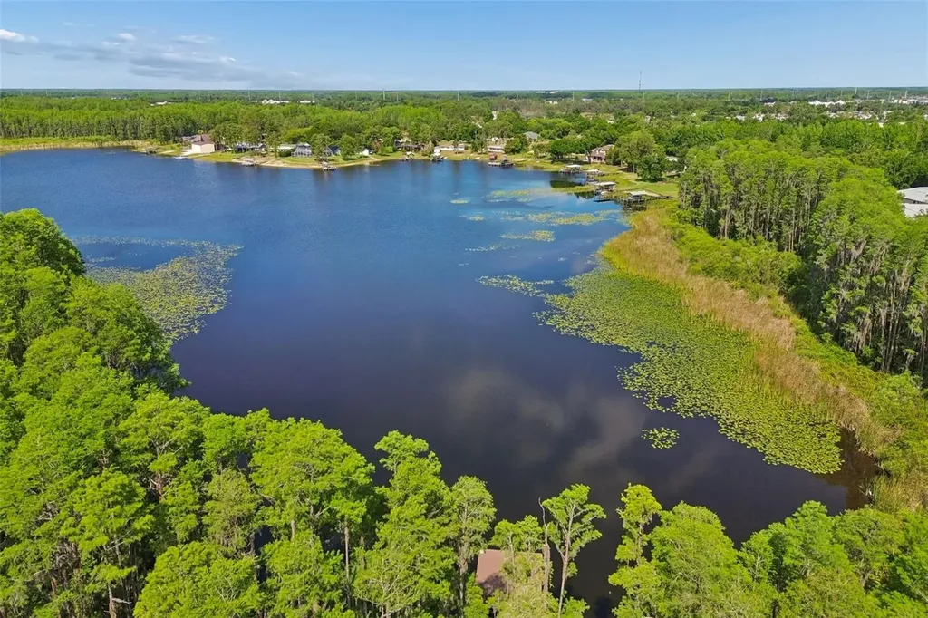 1633 Hammocks Avenue Lutz FL 33549