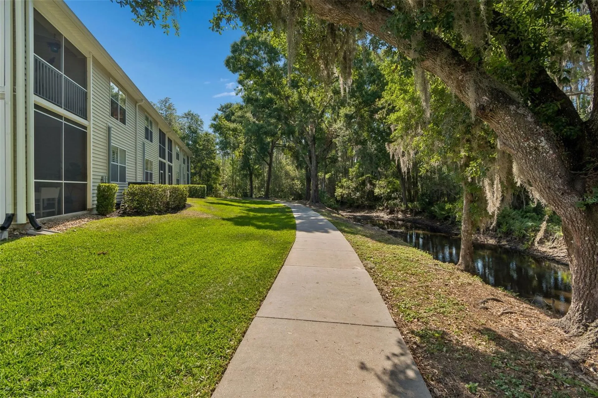 1633 Hammocks Avenue Lutz FL 33549