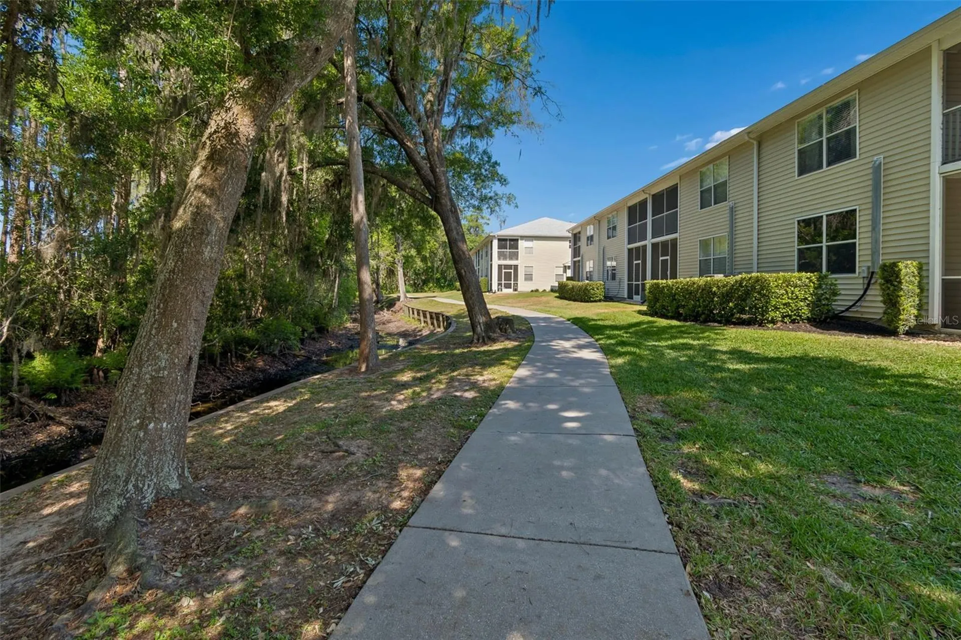 1633 Hammocks Avenue Lutz FL 33549