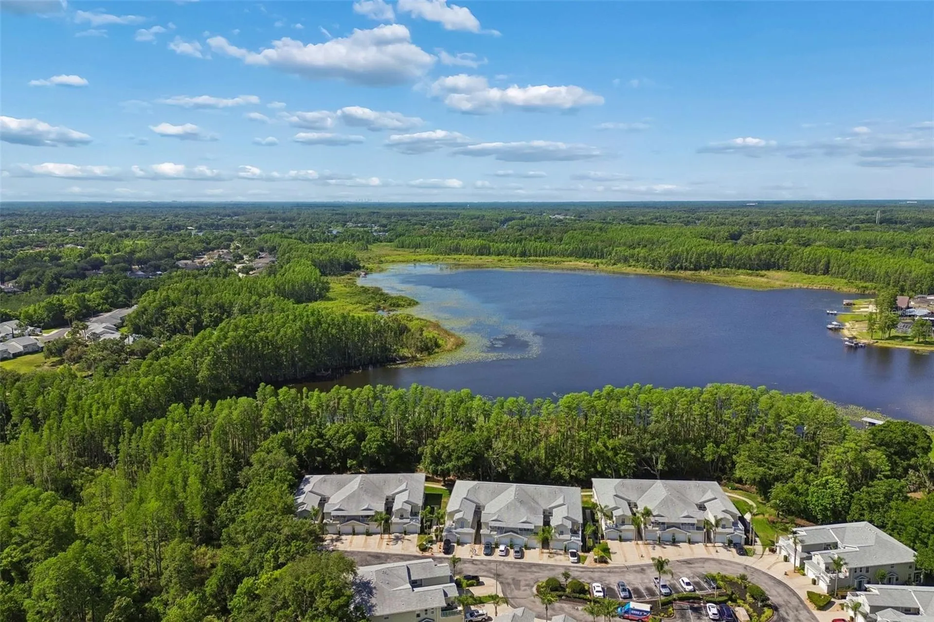 1633 Hammocks Avenue Lutz FL 33549