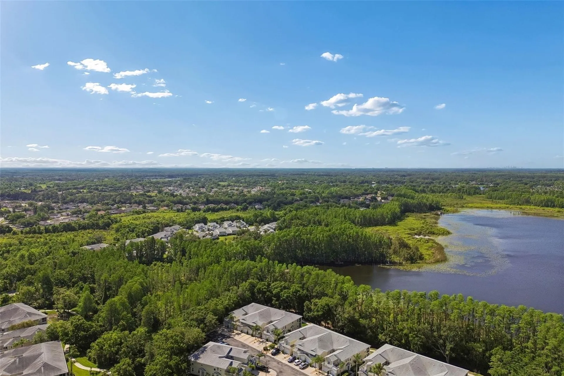 1633 Hammocks Avenue Lutz FL 33549