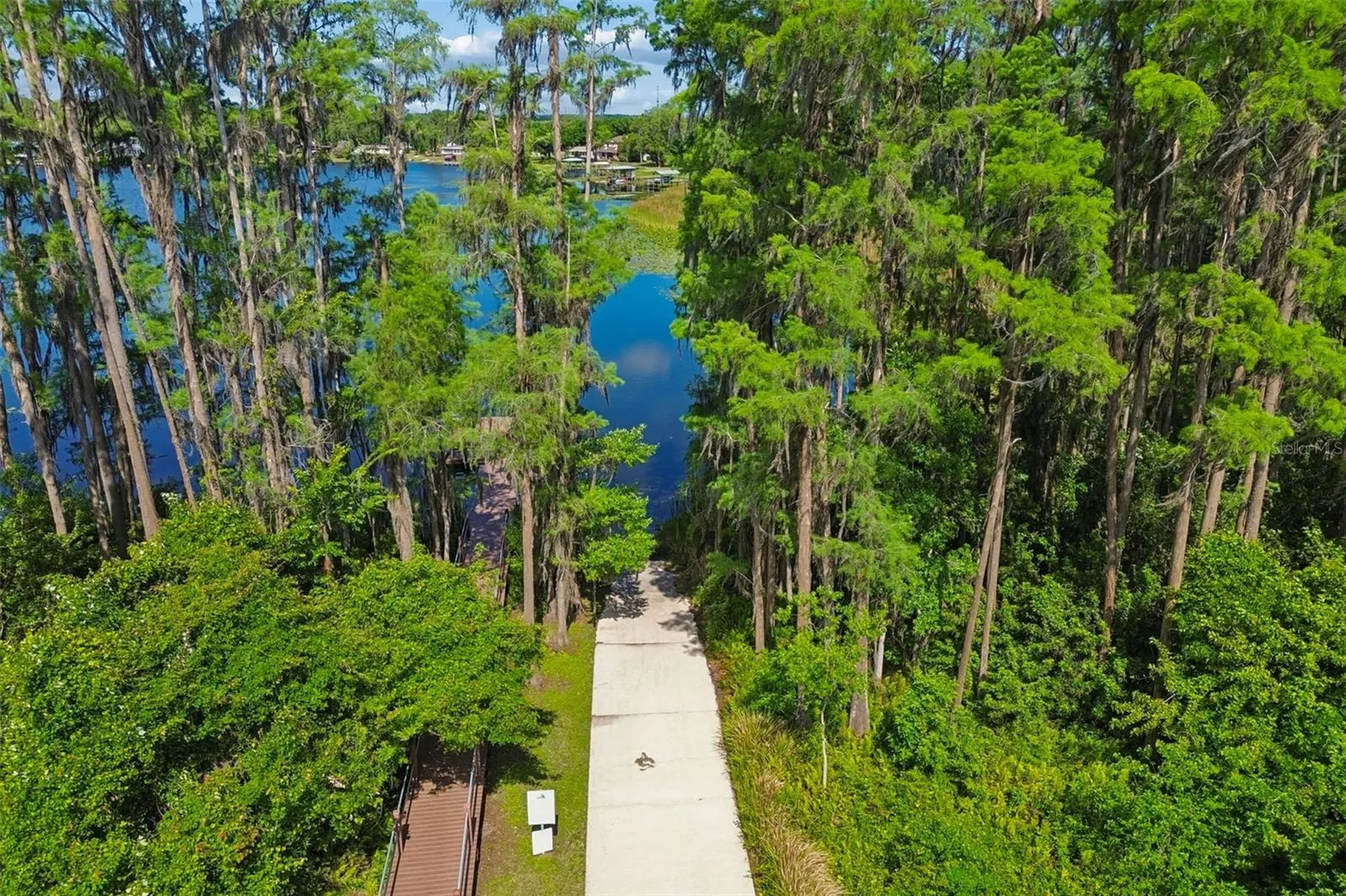1633 Hammocks Avenue Lutz FL 33549