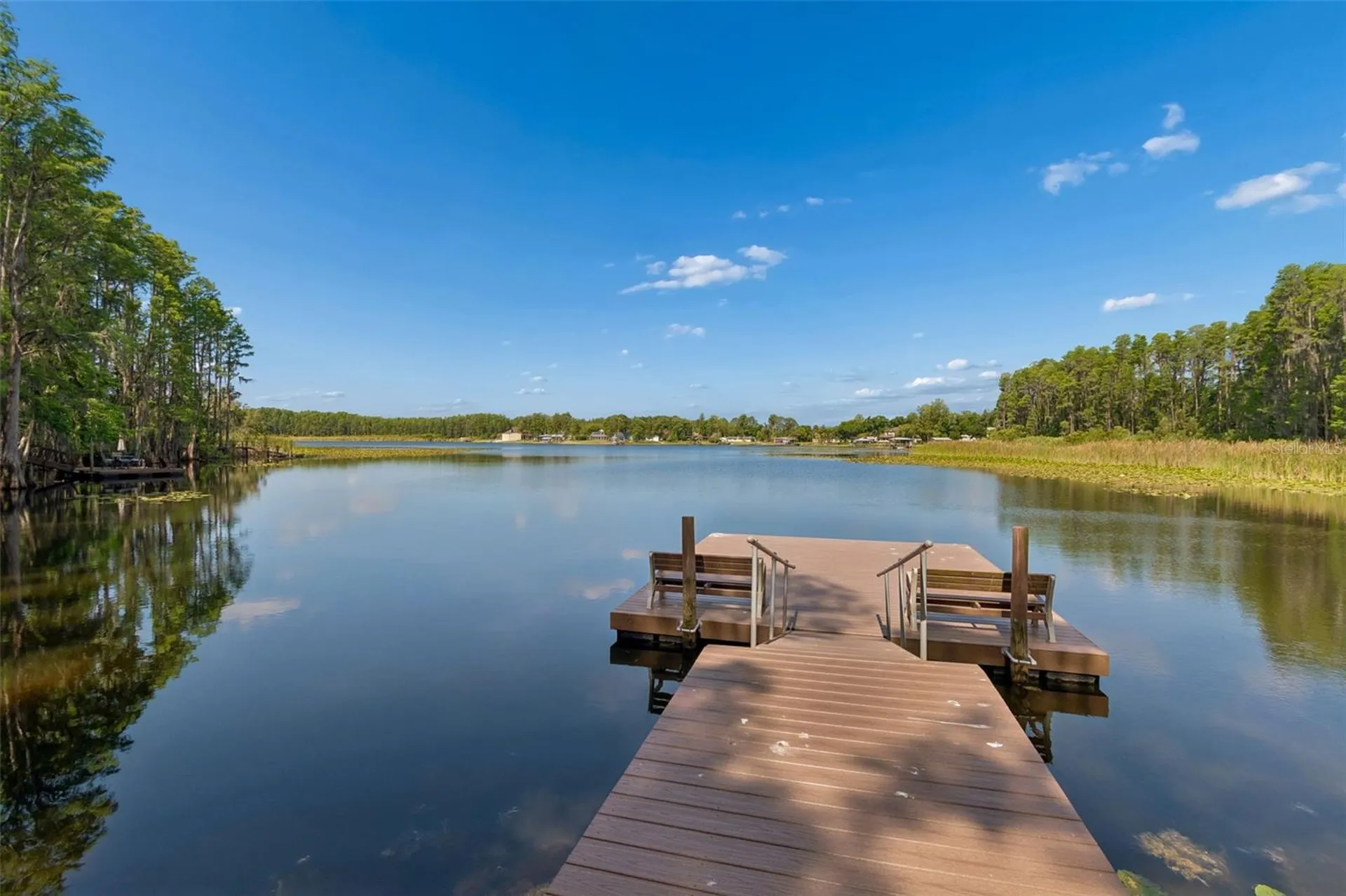 1633 Hammocks Avenue Lutz FL 33549