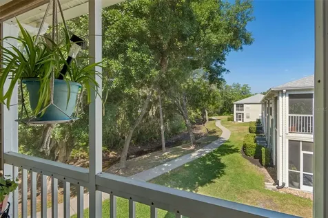 1633 Hammocks Avenue Lutz FL 33549