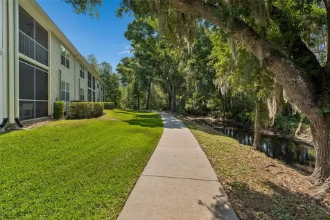 1633 Hammocks Avenue Lutz FL 33549