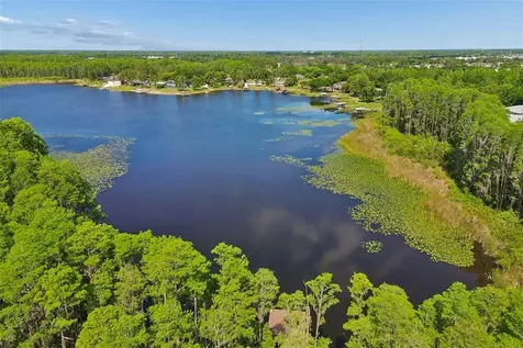 1633 Hammocks Avenue Lutz FL 33549