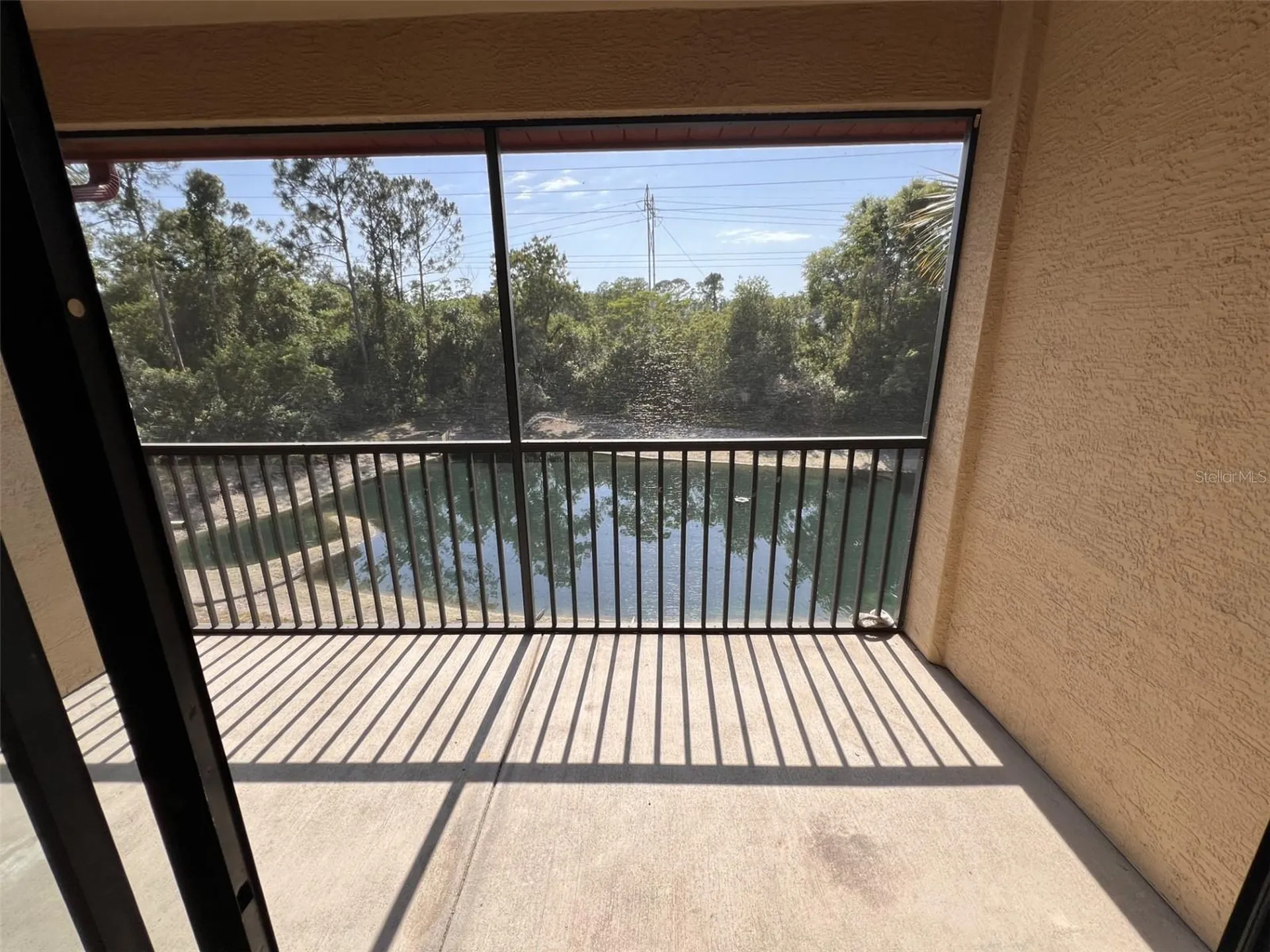 2138 Chianti Place Palm Harbor FL 34683