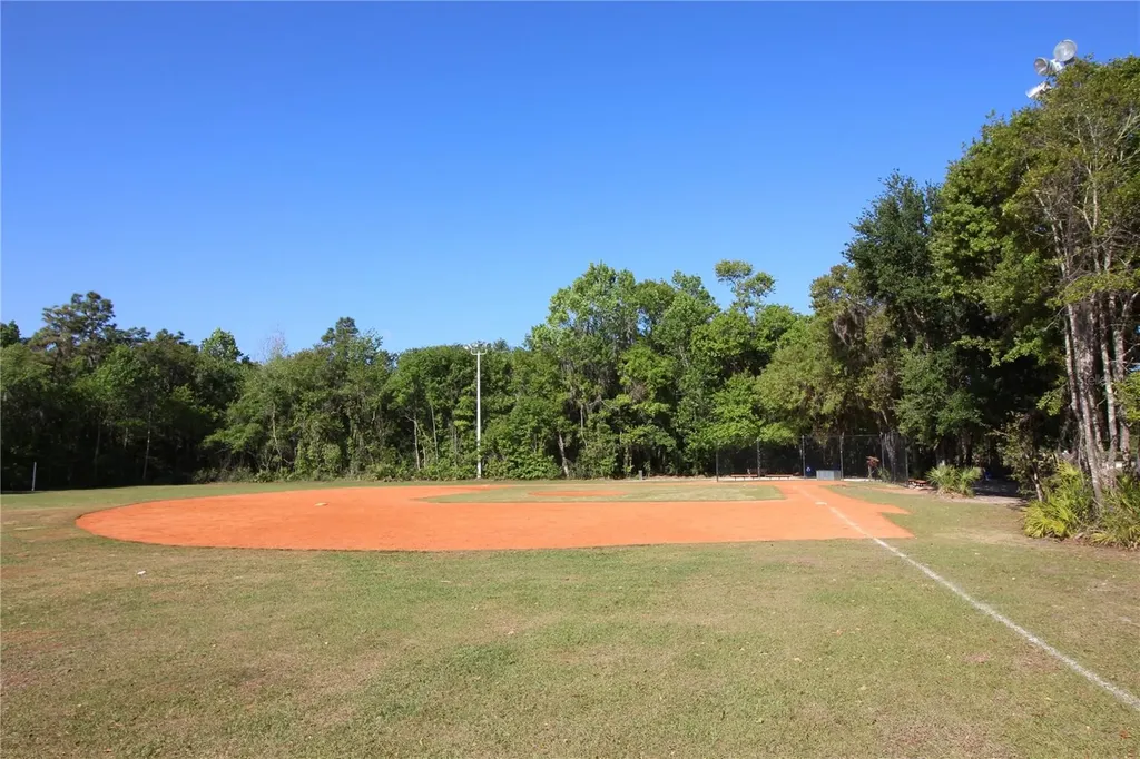 14743 Heronglen Drive Lithia FL 33547