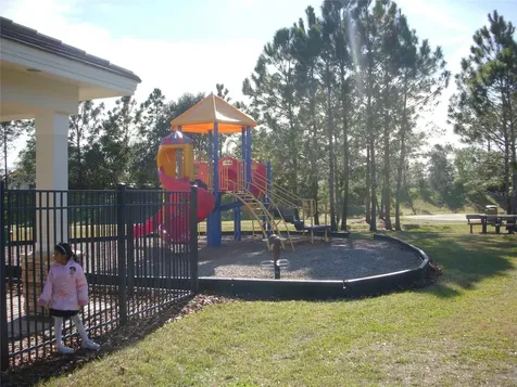 14743 Heronglen Drive Lithia FL 33547