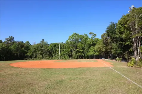 14743 Heronglen Drive Lithia FL 33547