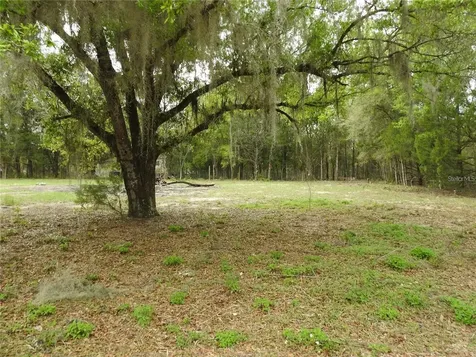 103 George Drive Interlachen FL 32148