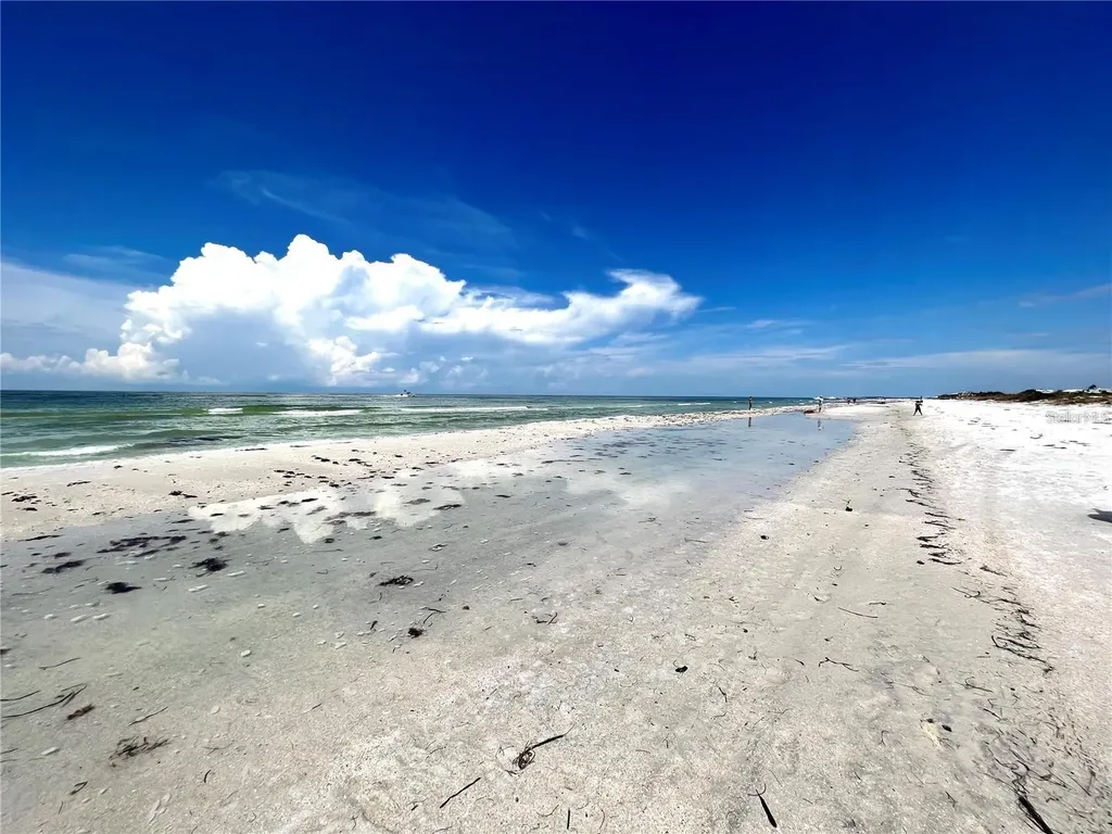 880 Mandalay Avenue Clearwater Beach FL 33767