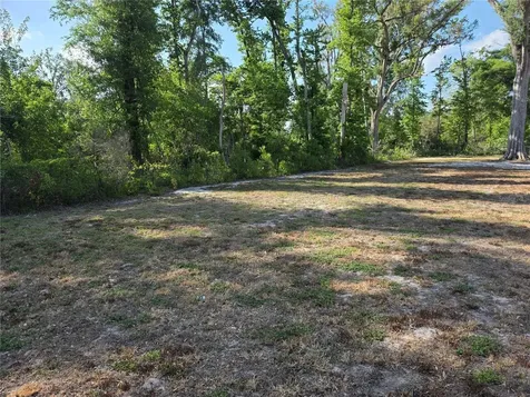 142 NE 112th Avenue Old Town FL 32680