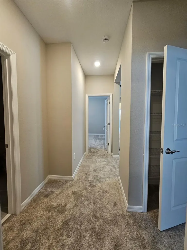 14387 Braemar Street Winter Garden FL 34787