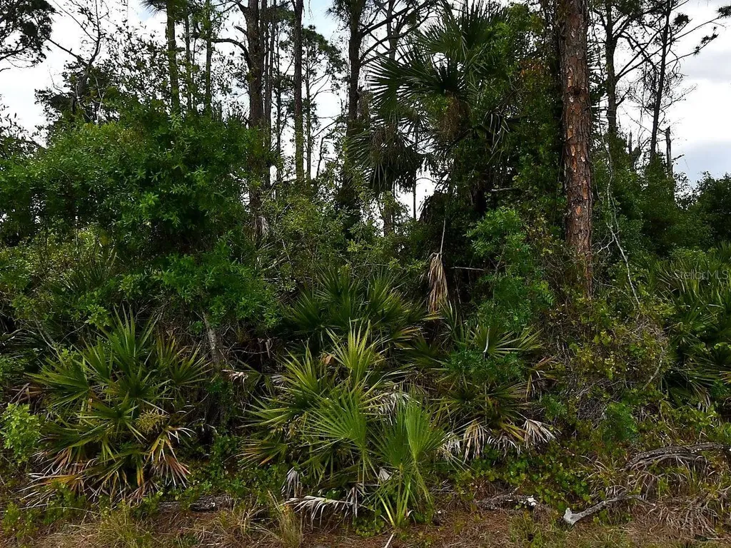 Geloso Avenue North Port FL 34288