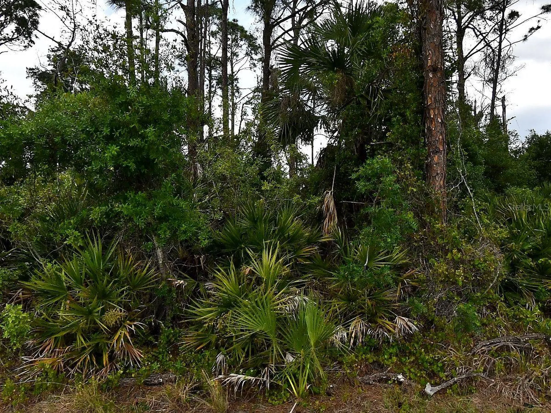 Geloso Avenue North Port FL 34288