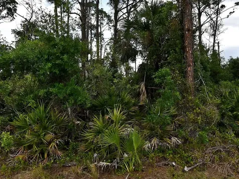 Geloso Avenue North Port FL 34288