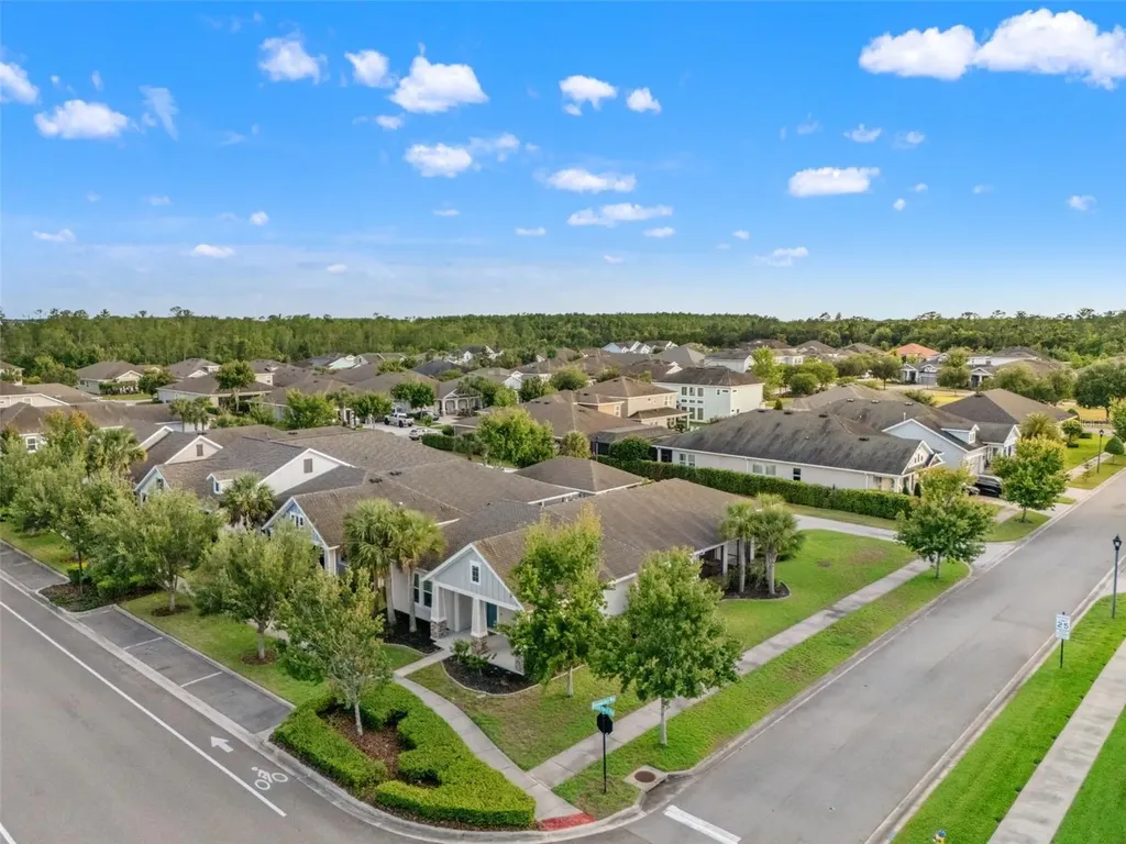 4077 Broad Porch Run Land O Lakes FL 34638