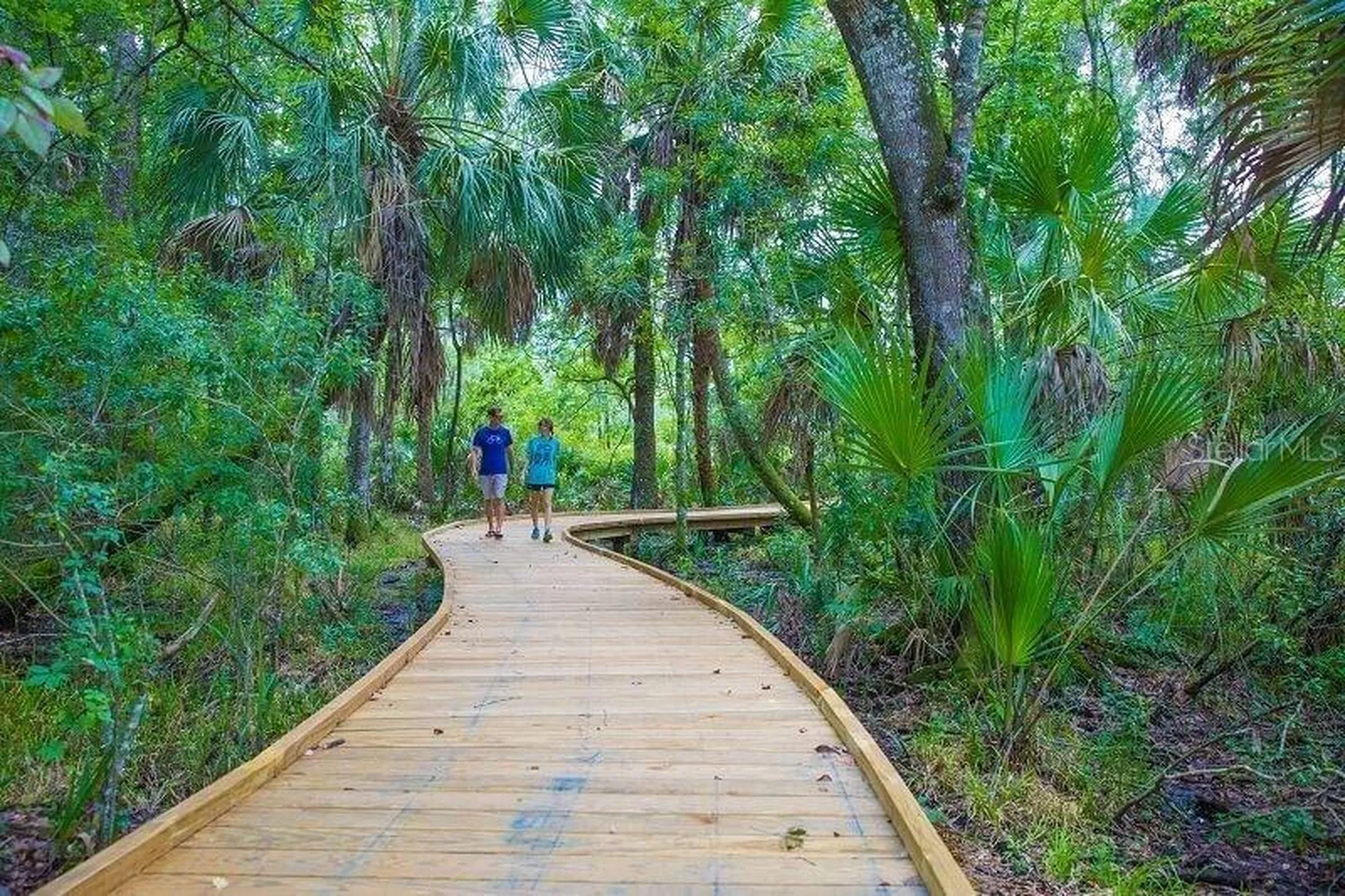 4077 Broad Porch Run Land O Lakes FL 34638