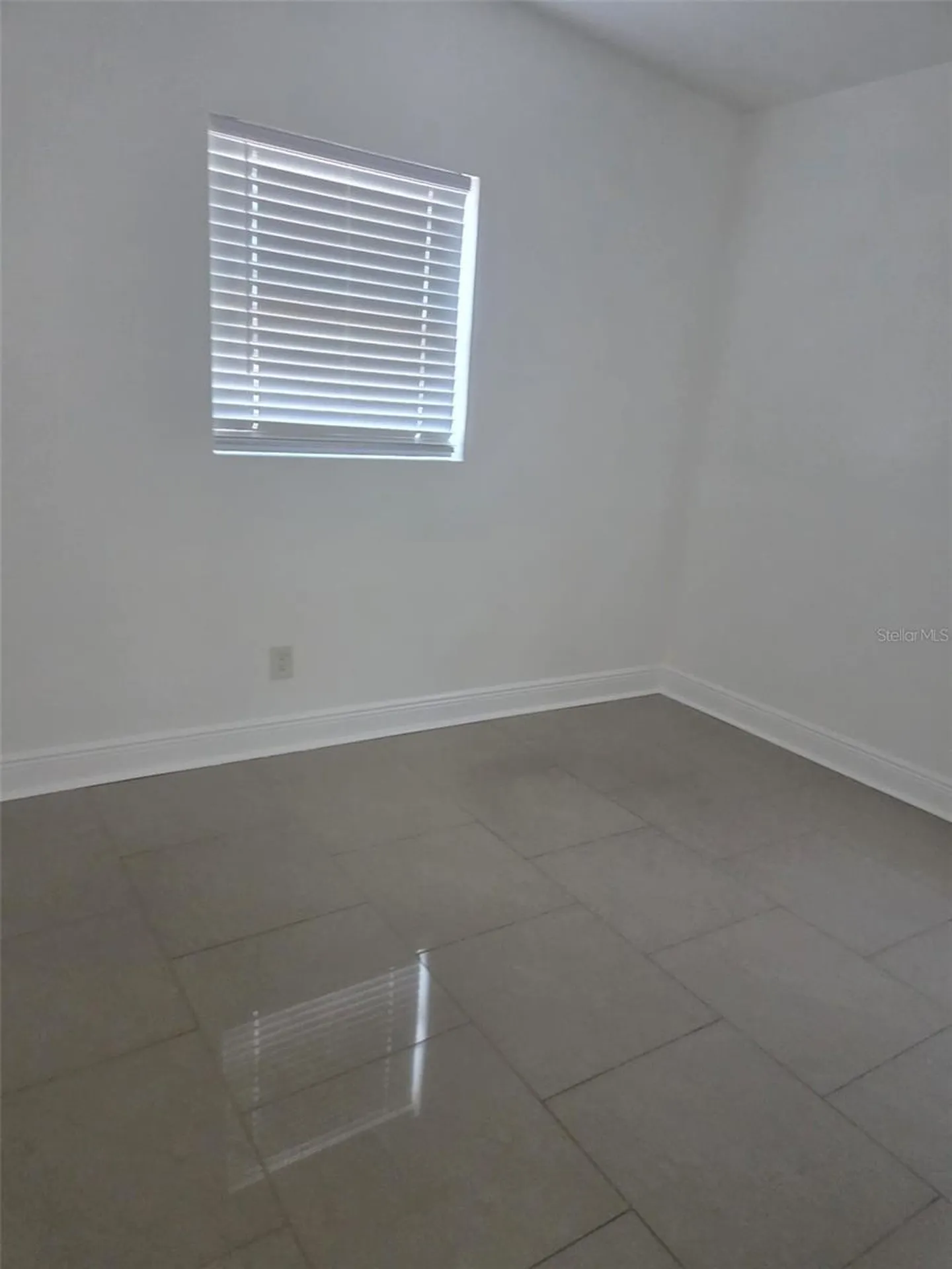 8704 N Renfrew Place Tampa FL 33604