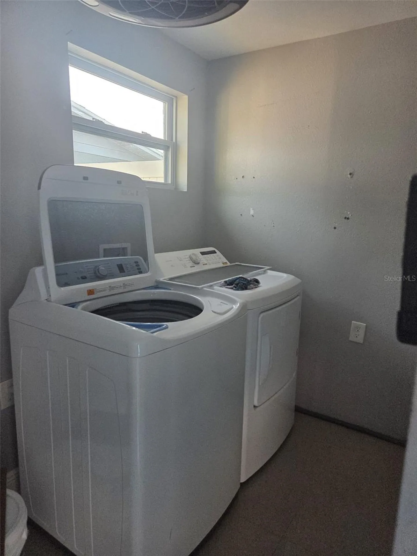 8704 N Renfrew Place Tampa FL 33604