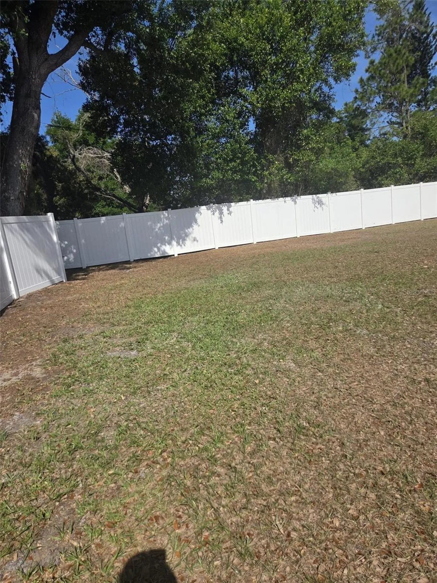 8704 N Renfrew Place Tampa FL 33604