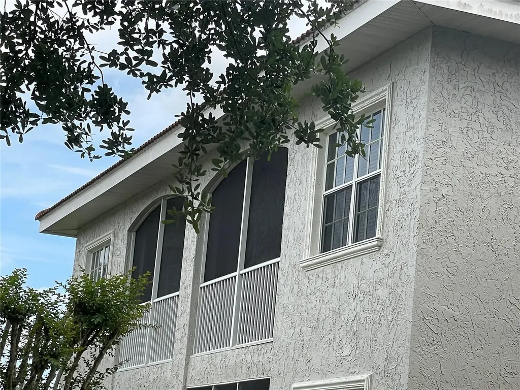 6808 Dali Avenue Land O Lakes FL 34637