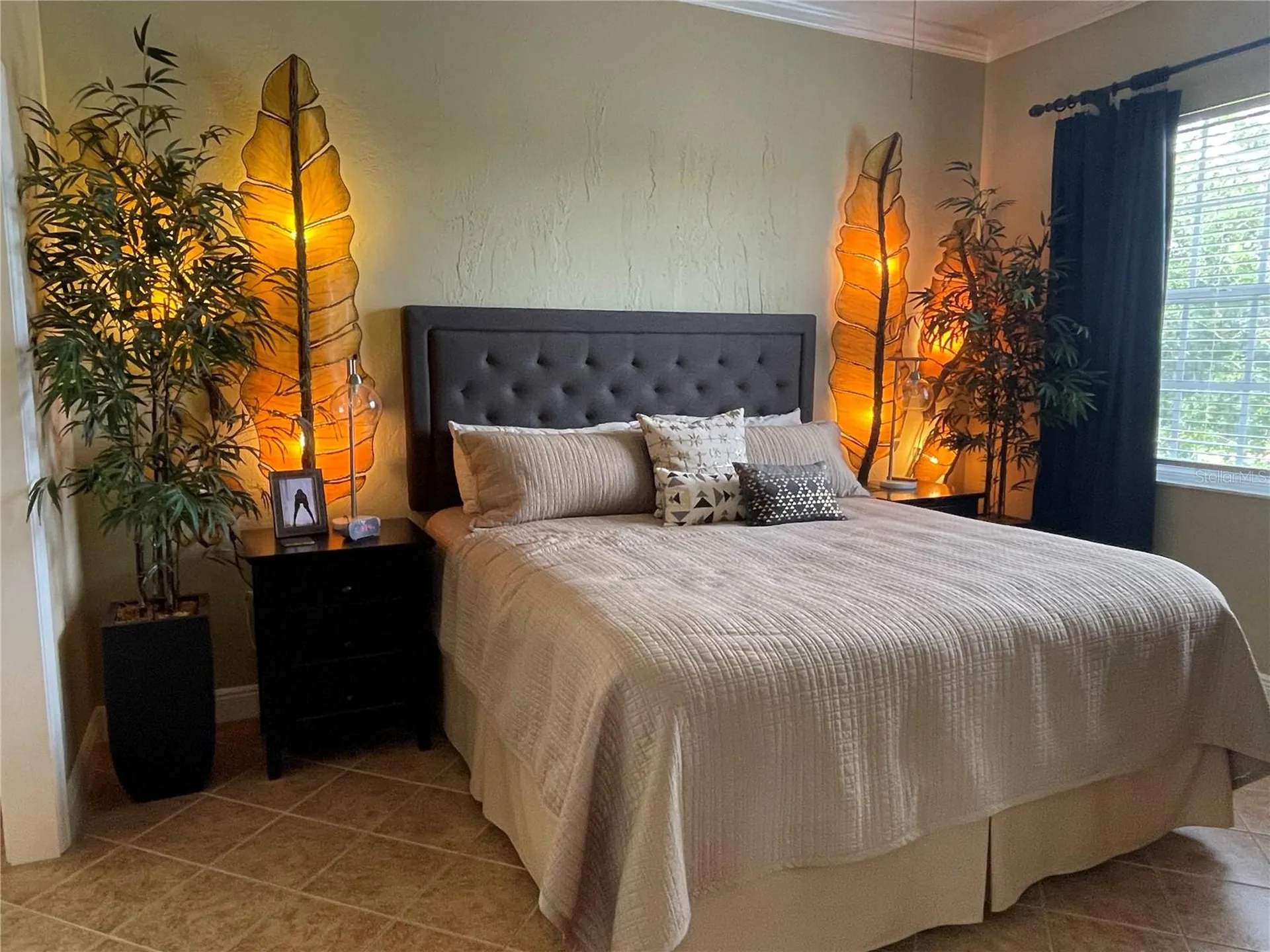 6808 Dali Avenue Land O Lakes FL 34637