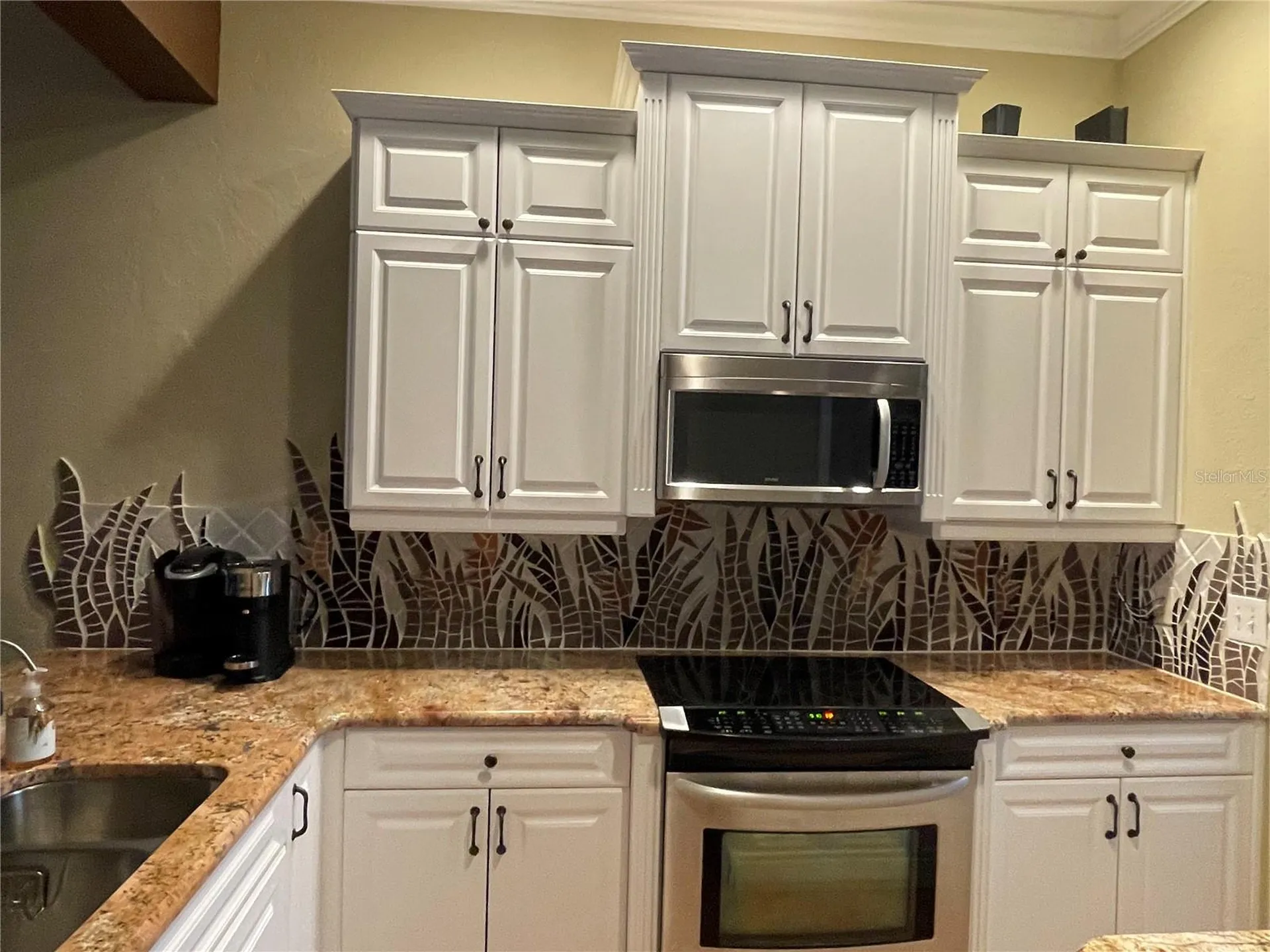 6808 Dali Avenue Land O Lakes FL 34637