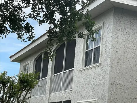 6808 Dali Avenue Land O Lakes FL 34637