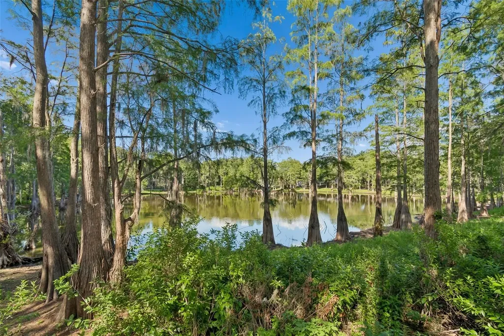 3410 Laurel Dale Drive Tampa FL 33618