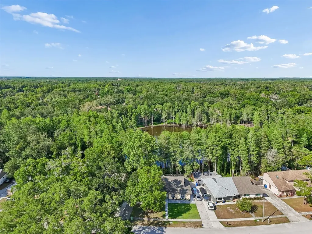 3410 Laurel Dale Drive Tampa FL 33618