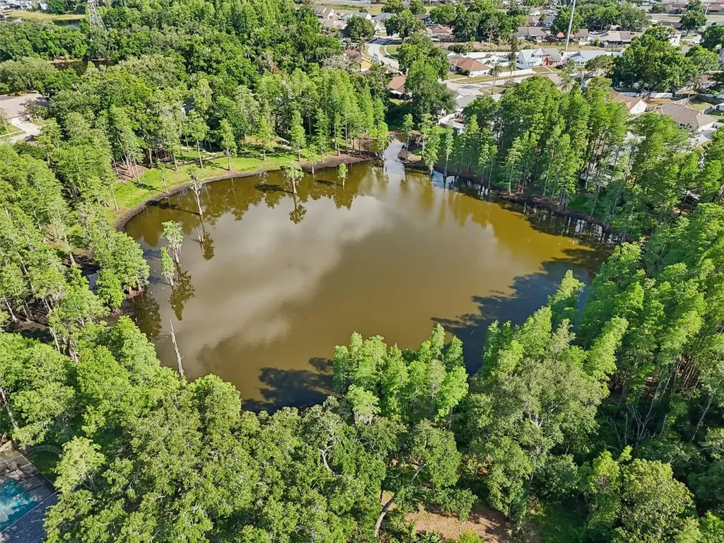 3410 Laurel Dale Drive Tampa FL 33618