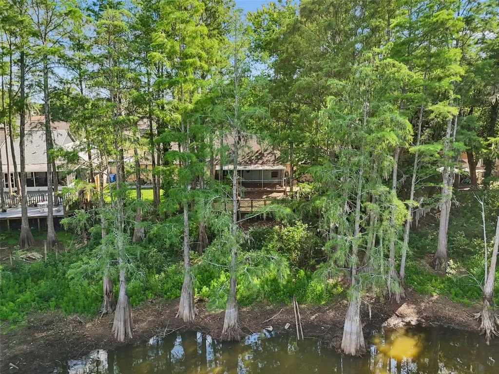 3410 Laurel Dale Drive Tampa FL 33618