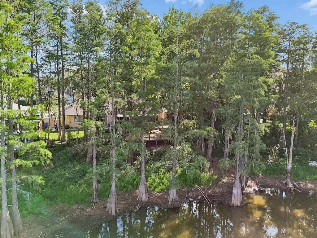 3410 Laurel Dale Drive Tampa FL 33618