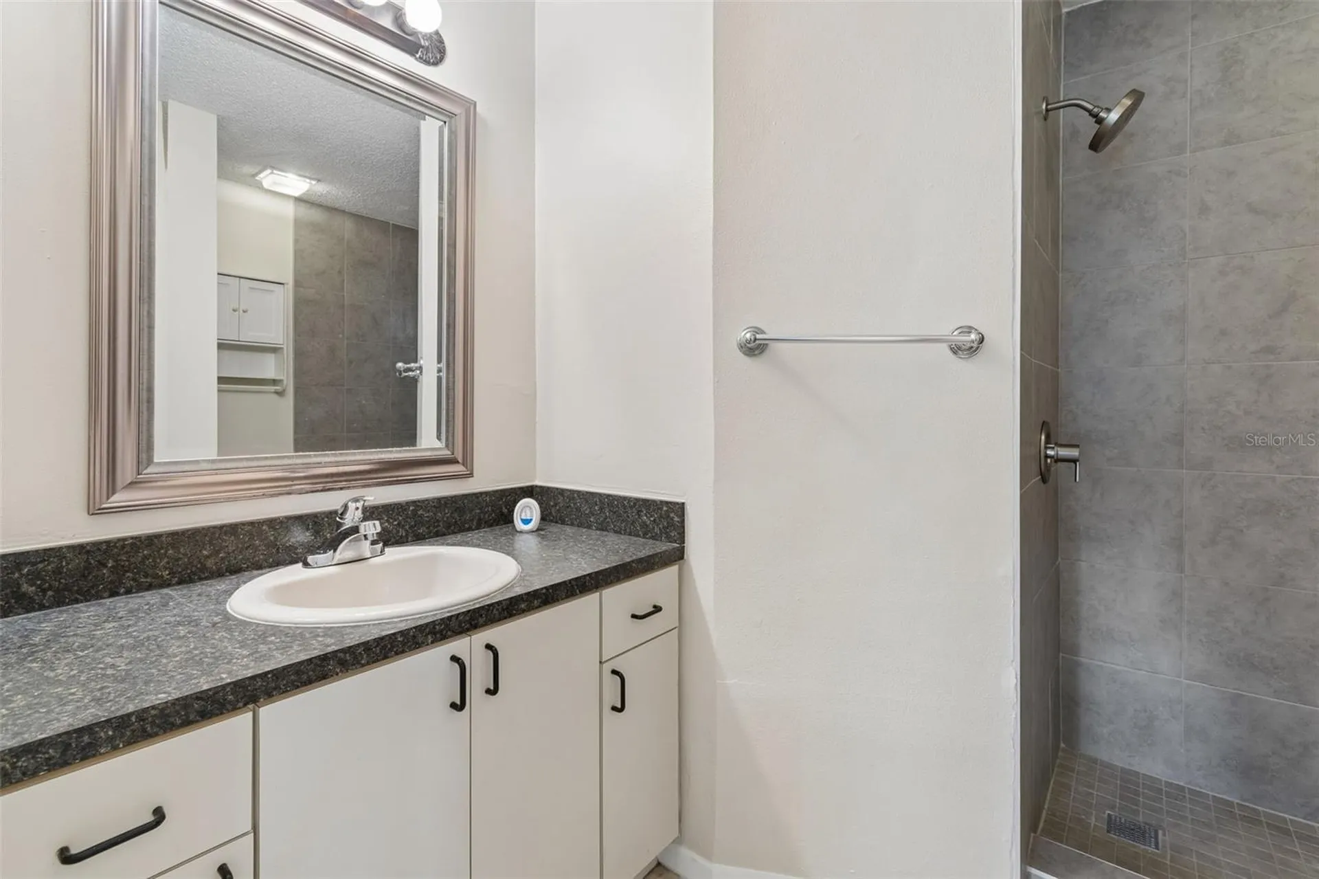3410 Laurel Dale Drive Tampa FL 33618