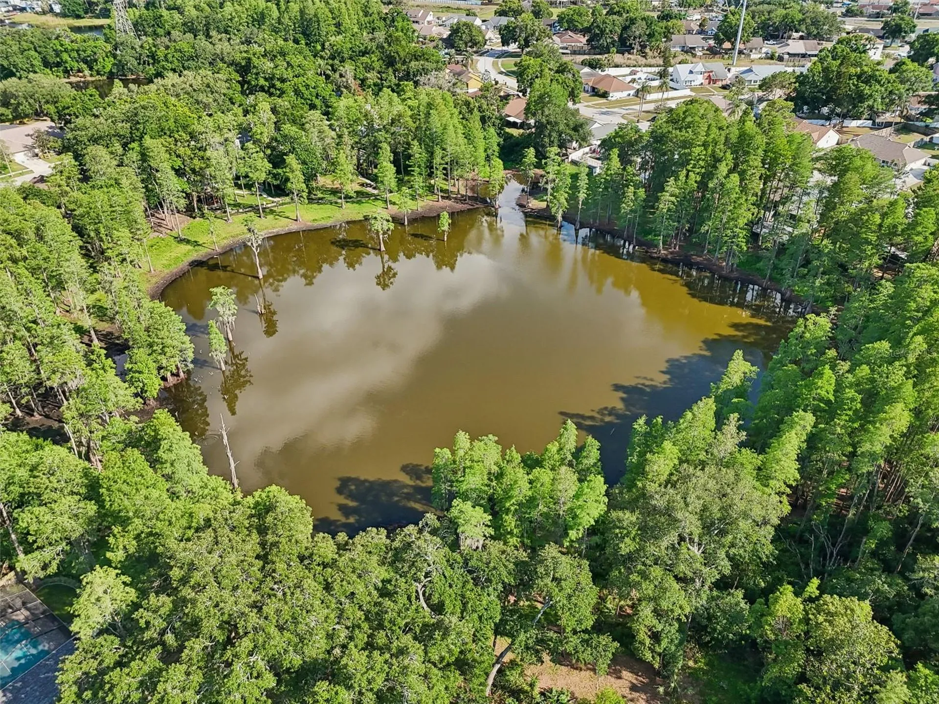 3410 Laurel Dale Drive Tampa FL 33618