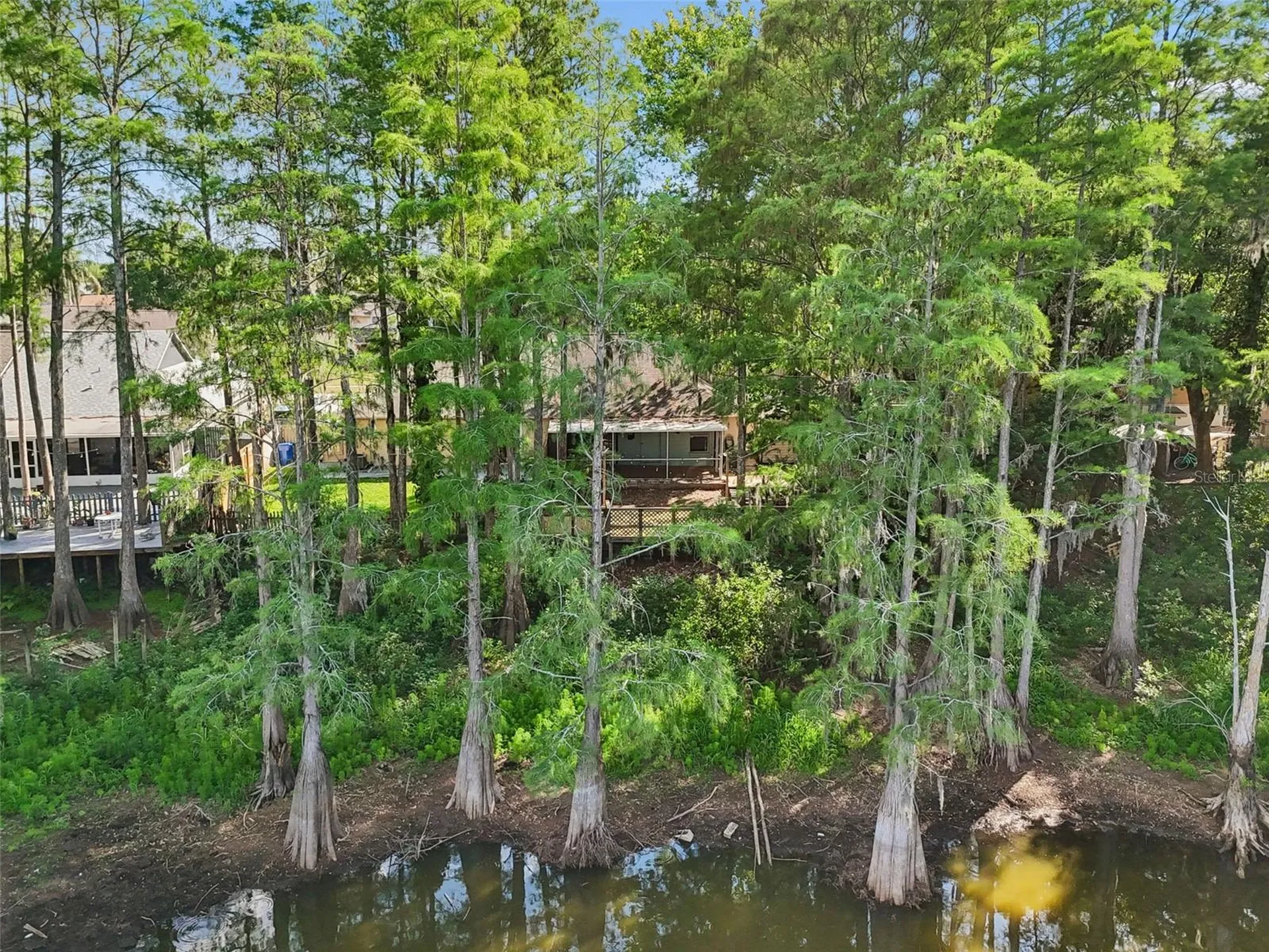 3410 Laurel Dale Drive Tampa FL 33618