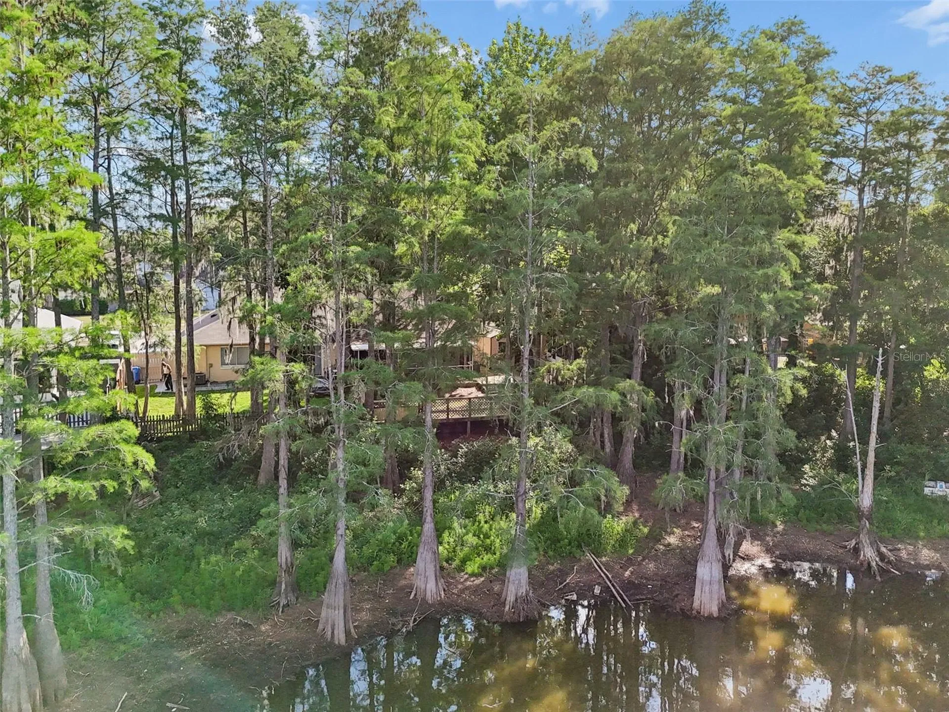 3410 Laurel Dale Drive Tampa FL 33618