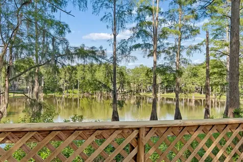 3410 Laurel Dale Drive Tampa FL 33618